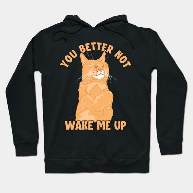 You Better Not Wake Me Up Cat Mom Cat Lovers Funny Cat Hoodie by GraphicsLab